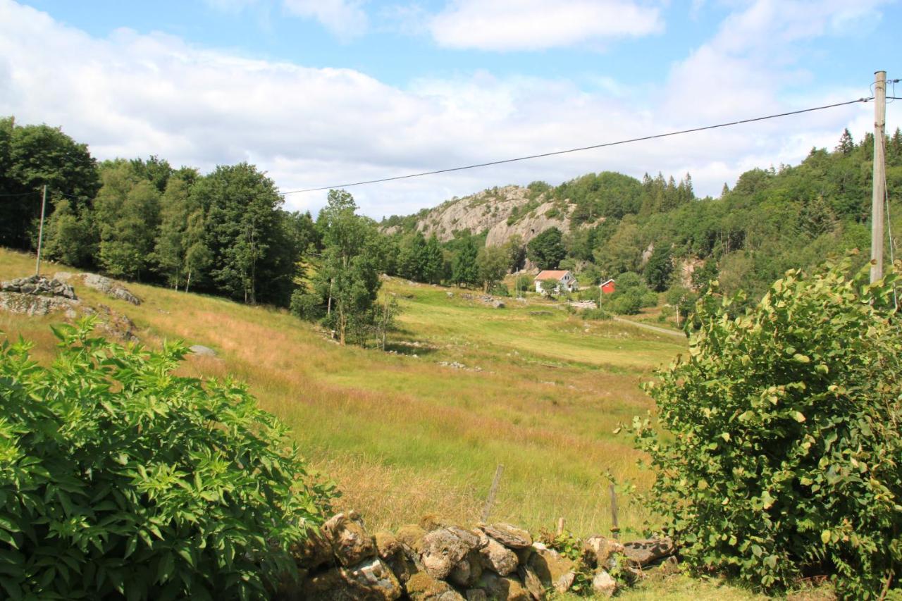 ファールスン Lille Gjersdal - Et Unikt Opphold 100 Ar Tilbake I Tidヴィラ エクステリア 写真